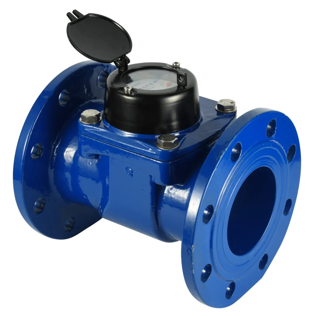 Class C High Accuracy Removable Element Woltman Water Meter